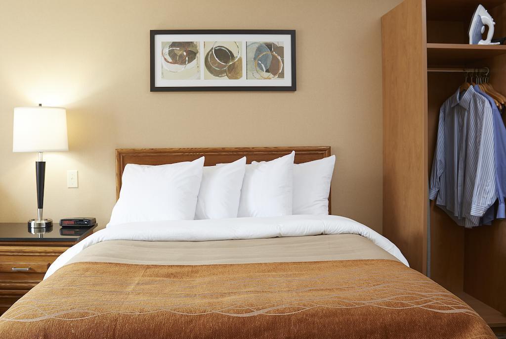 Comfort Inn Cambridge Esterno foto