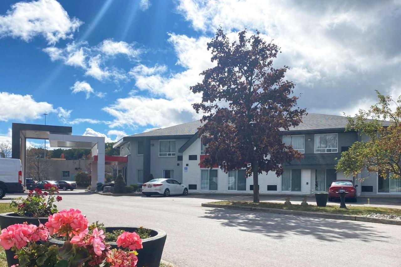Comfort Inn Cambridge Esterno foto